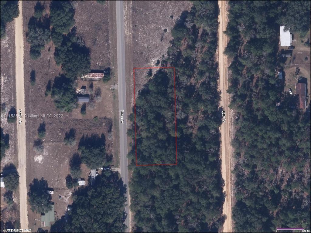 0 Dawn Av, Other City - In The State Of Florida FL 32148 photo 4