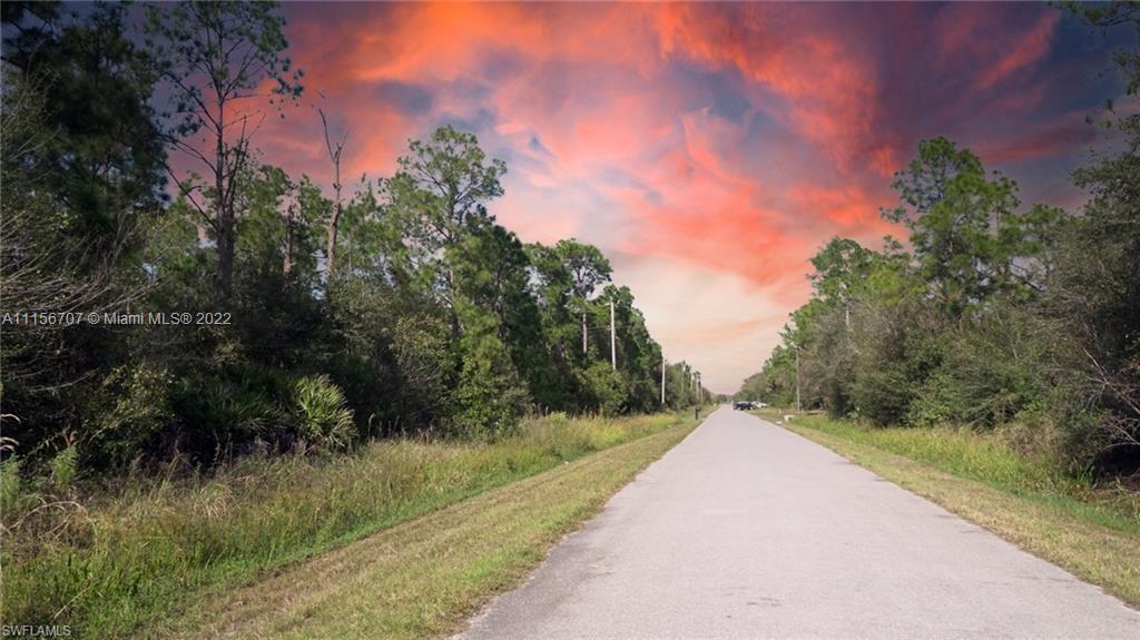 Golden Gate EST Unit 45 N 150FT OF TR 65, Naples FL 34120