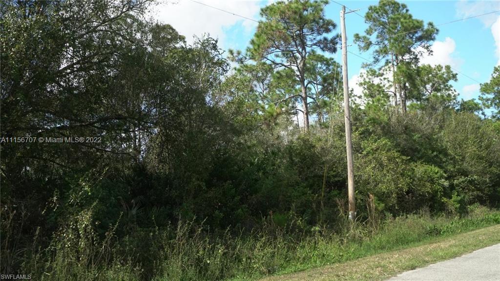 Golden Gate EST Unit 45 N 150FT OF TR 65, Naples FL 34120 photo 4