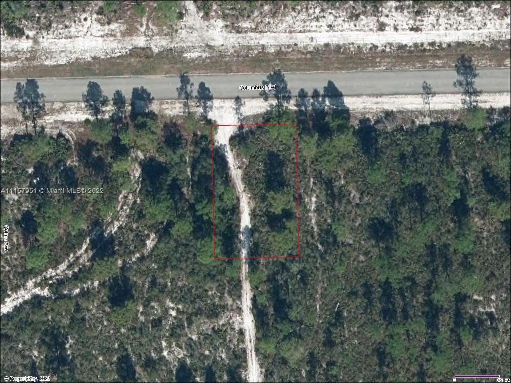 6833 Columbus Blvd, Sebring FL 33872 photo 4