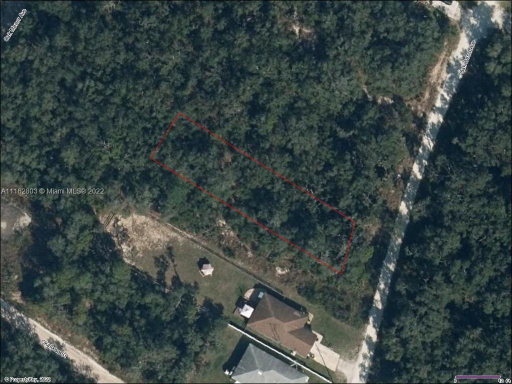 5725 Oak Bend Ave, Sebring FL 33876 photo 2