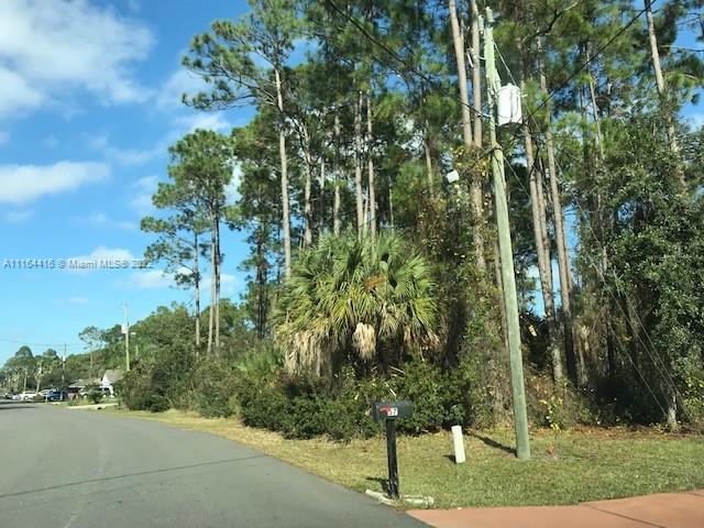 53 Ryecliffe, Palm Coast FL 32164 photo 2