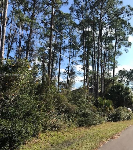 53 Ryecliffe, Palm Coast FL 32164 photo 3