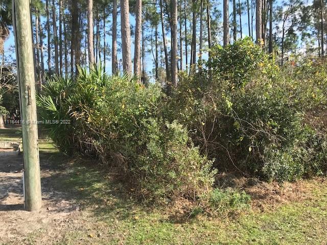 53 Ryecliffe, Palm Coast FL 32164