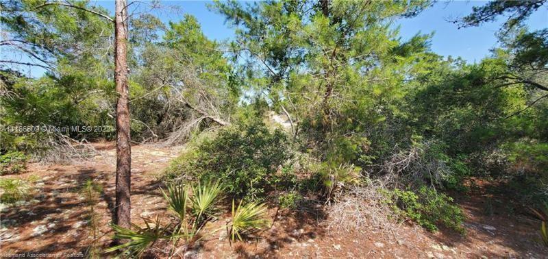 298 Swallow Dr, Lake Placid FL 33852 photo 2
