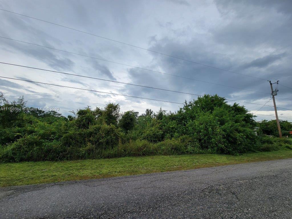 3509 SW 16th St, Lehigh Acres FL 33976 photo 2