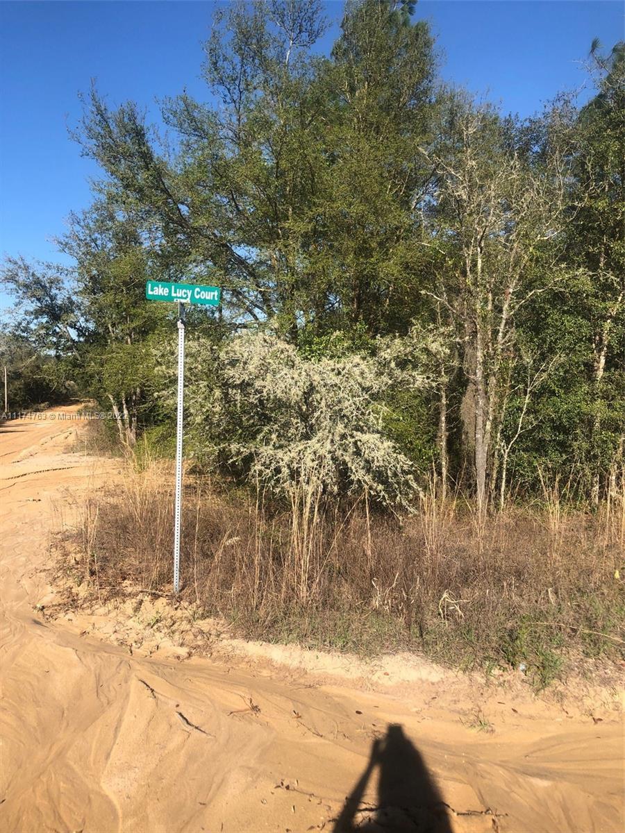 406 Lake Lucy Ct, Other City - In The State Of Florida FL 32148