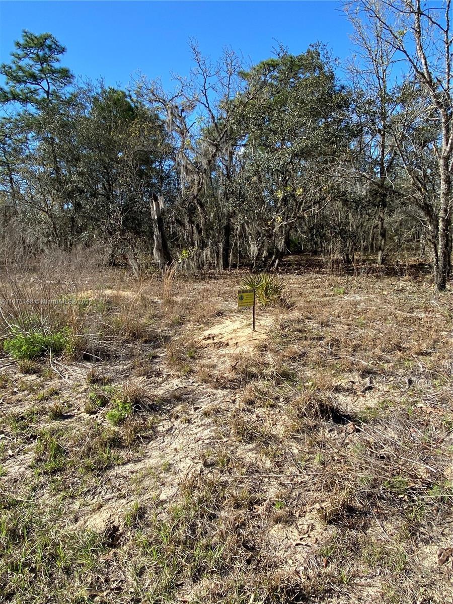 2189 E CAMBRIDGE LANE, Inverness FL 34453 photo 2