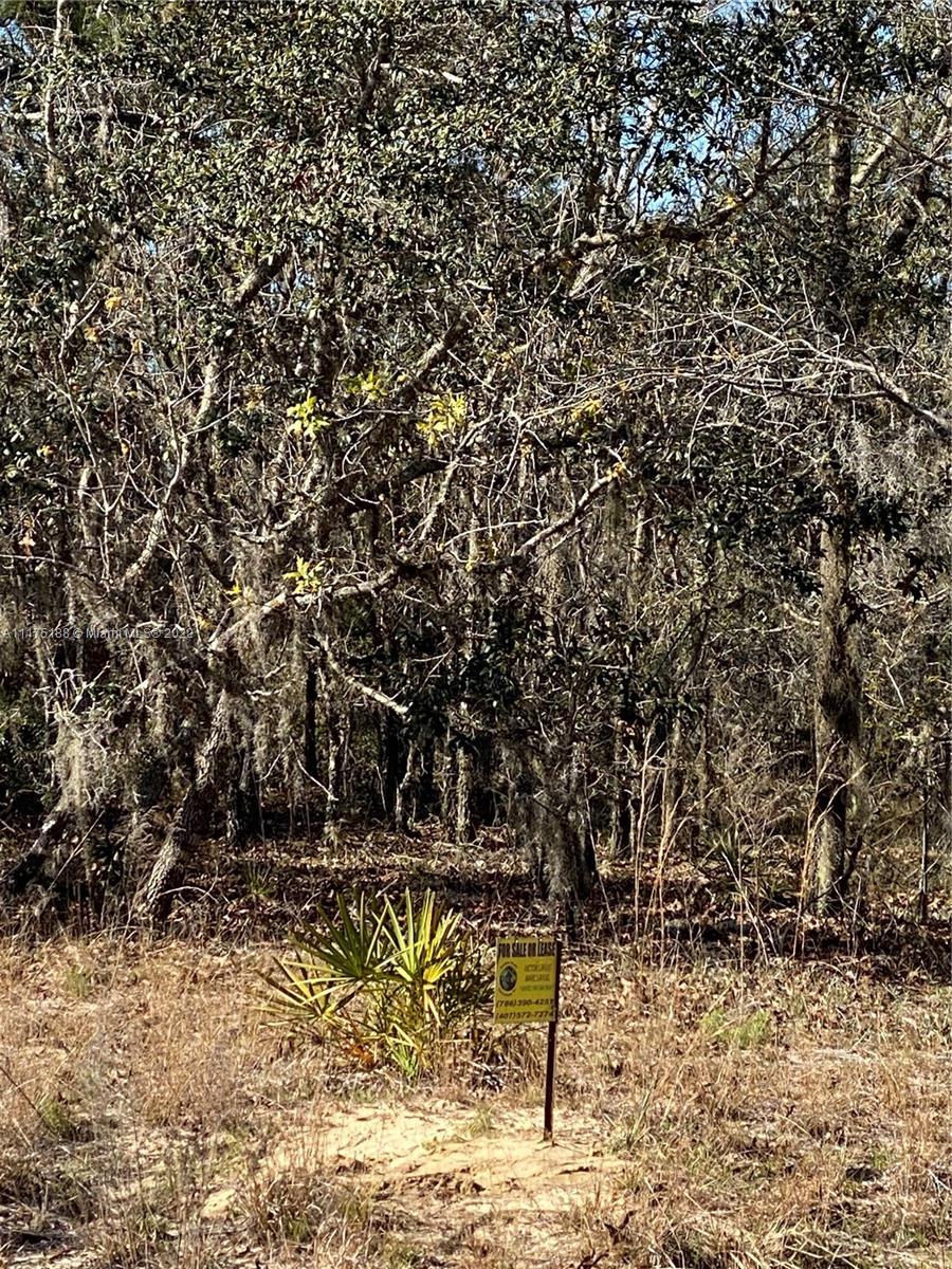 2189 E CAMBRIDGE LANE, Inverness FL 34453 photo 5