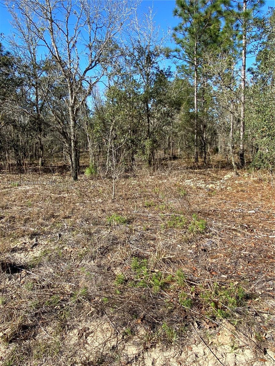 2189 E CAMBRIDGE LANE, Inverness FL 34453 photo 4