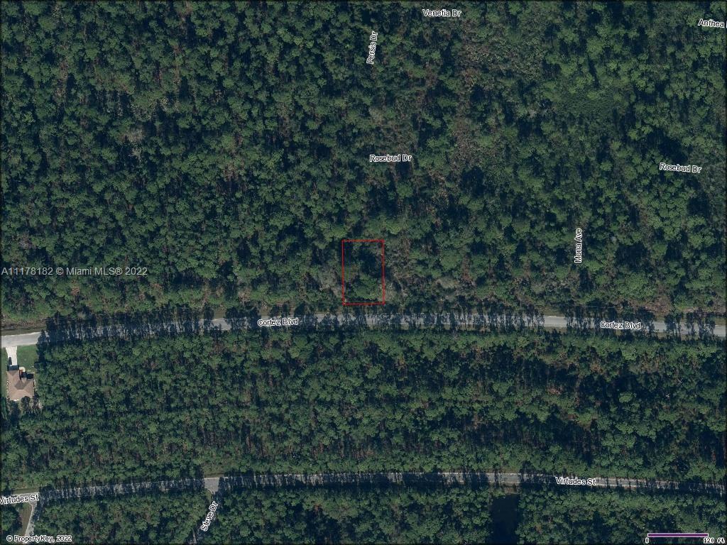 7238 Cortez Blvd, Sebring FL 33872 photo 2