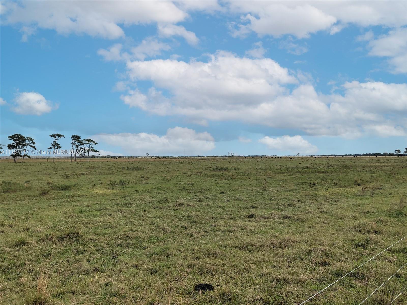 NW 344th ST, Okeechobee FL 34972 photo 2