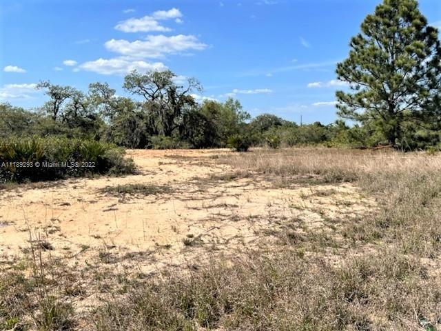 2212 W Matte, Other City - In The State Of Florida FL 33825 photo 2