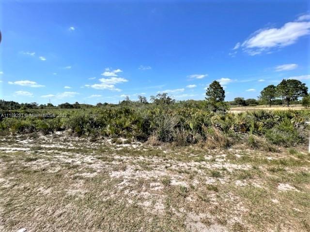 2212 W Matte, Other City - In The State Of Florida FL 33825 photo 3