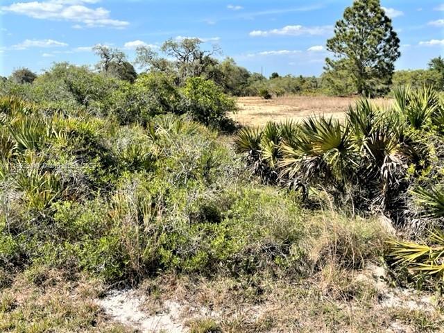2212 W Matte, Other City - In The State Of Florida FL 33825 photo 5