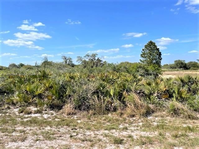 2212 W Matte, Other City - In The State Of Florida FL 33825 photo 4