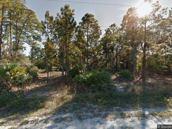 2615 Carol Place, Lehigh Acres FL 33971