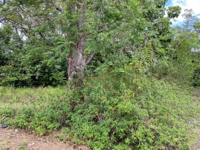 4716 Alhambra Ave, Sebring FL 33870