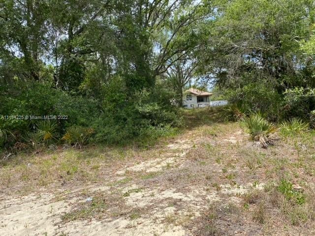 106 Montego Drive, Sebring FL 33870 photo 3