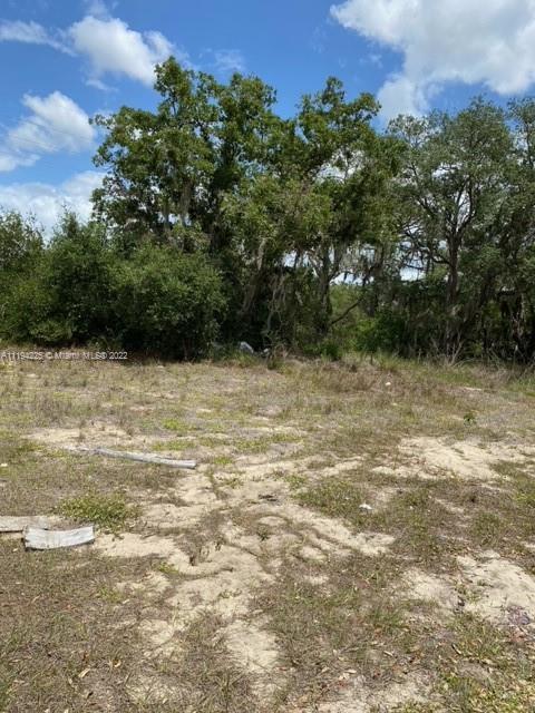 106 Montego Drive, Sebring FL 33870