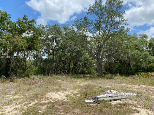106 Montego Drive, Sebring FL 33870 photo 5