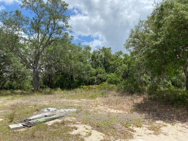 106 Montego Drive, Sebring FL 33870 photo 4