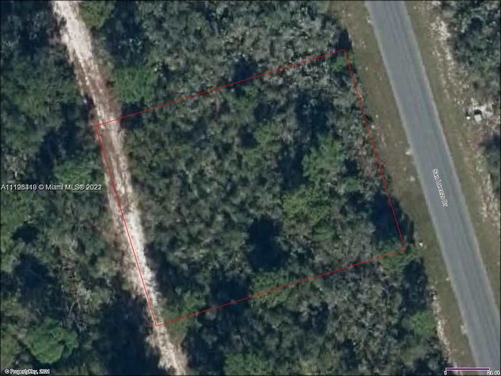 4565 San Lorenzo Dr, Sebring FL 33872 photo 2