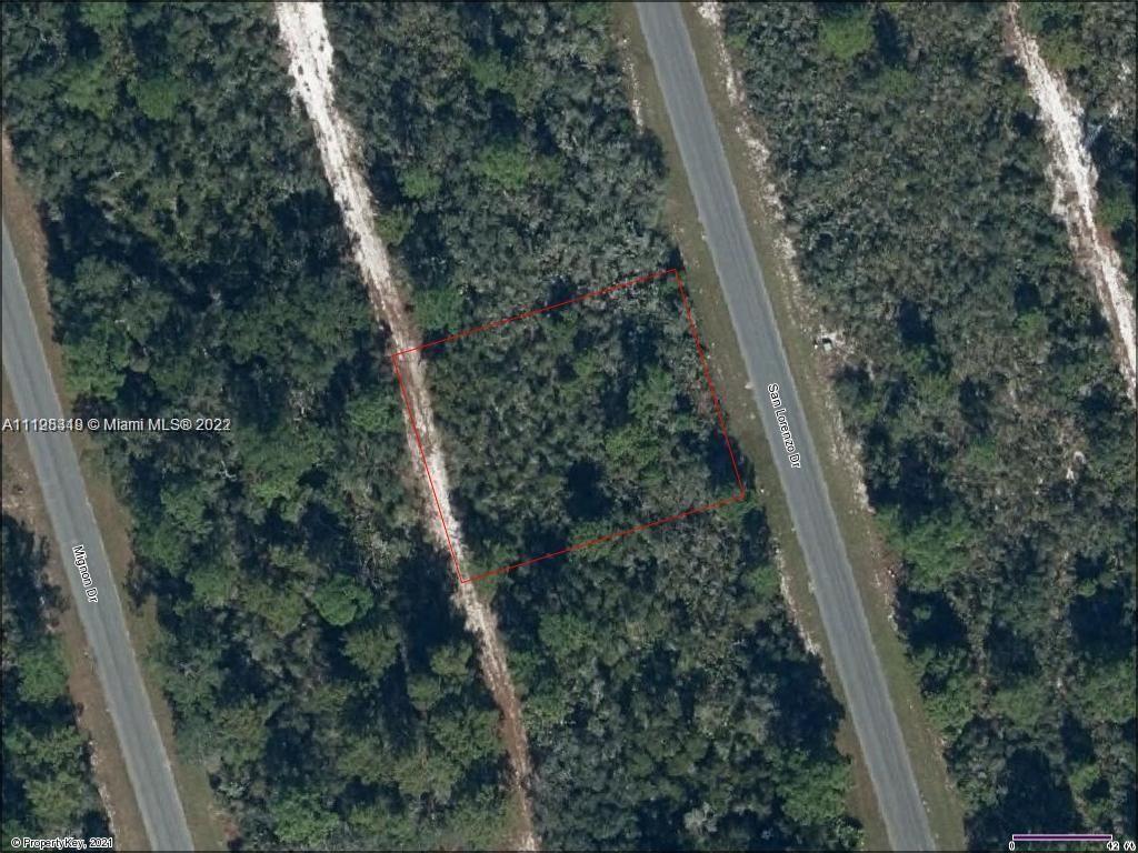 4565 San Lorenzo Dr, Sebring FL 33872 photo 3
