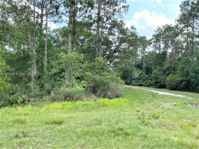 2961 W Tarkenton, Other City - In The State Of Florida FL 33825 photo 2