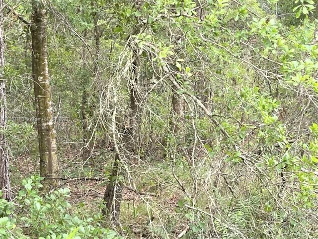 2961 W Tarkenton, Other City - In The State Of Florida FL 33825 photo 3