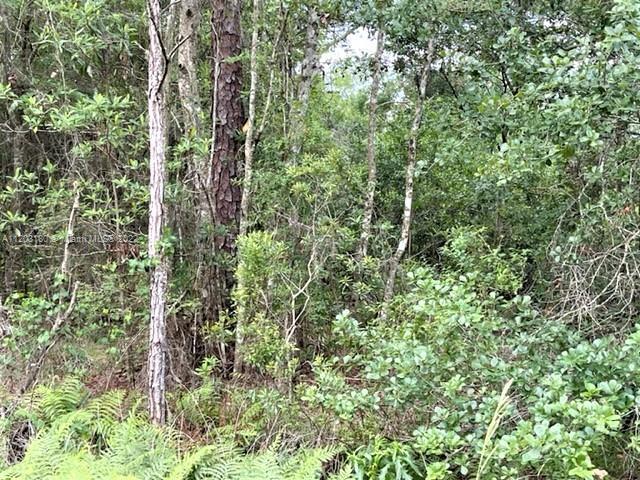 2961 W Tarkenton, Other City - In The State Of Florida FL 33825 photo 5