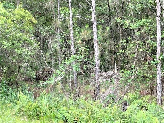 2961 W Tarkenton, Other City - In The State Of Florida FL 33825 photo 4