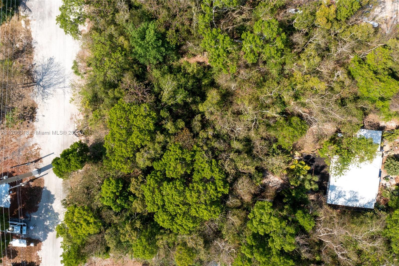106350 Overseas Hwy, Key Largo FL 33037 photo 3