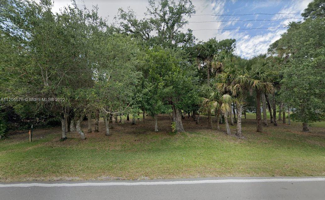 2060 Ft Denaud, La Belle FL 33935 photo 4