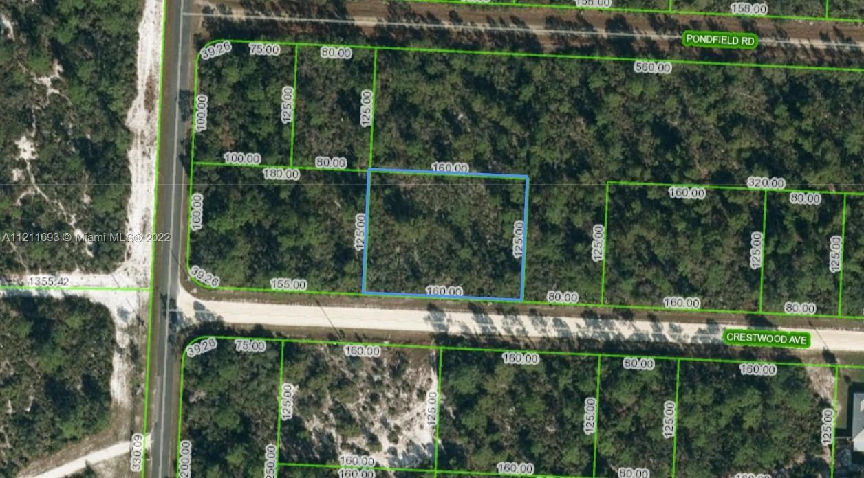 3239 Crestwood Ave, Lake Placid FL 33852 photo 2