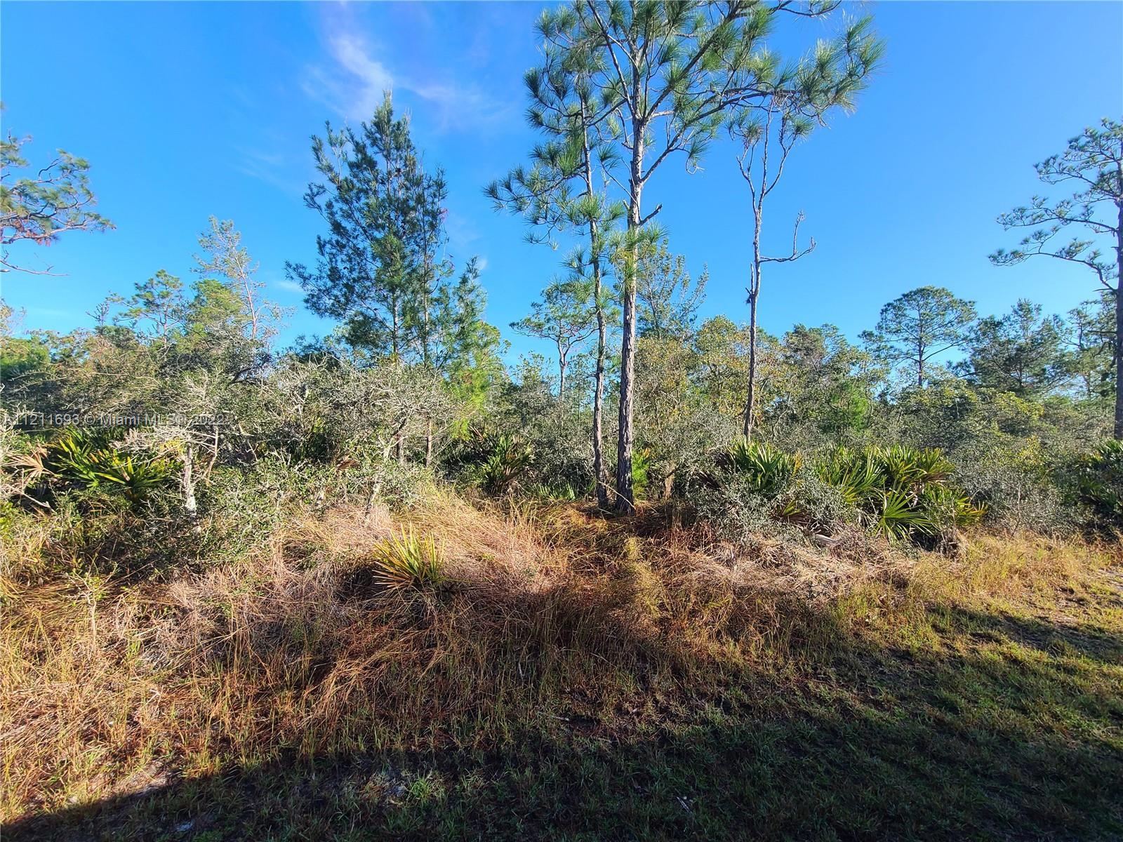 3239 Crestwood Ave, Lake Placid FL 33852