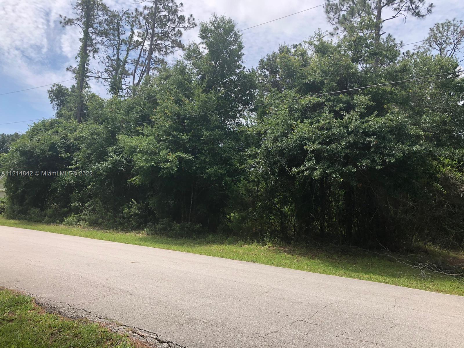 5 zephyr lily trl, Other City - In The State Of Florida FL 32164 photo 3