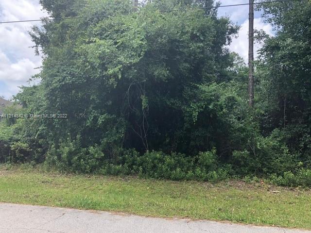 5 zephyr lily trl, Other City - In The State Of Florida FL 32164 photo 5