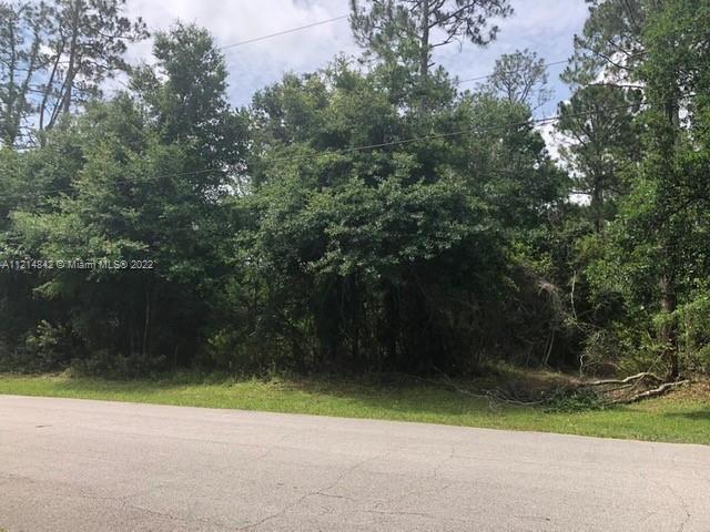 5 zephyr lily trl, Other City - In The State Of Florida FL 32164 photo 4