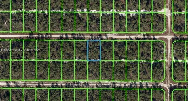 621 Parakeet Ave, Sebring FL 33872
