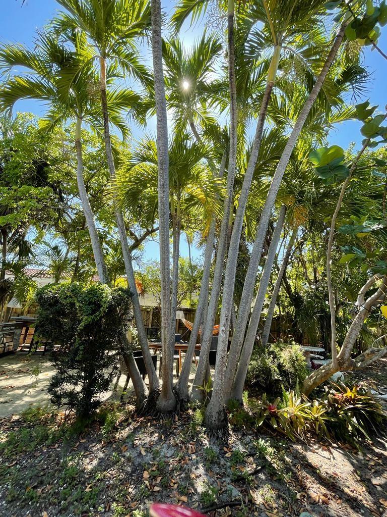 1685 NE 124th St, North Miami FL 33181 photo 3