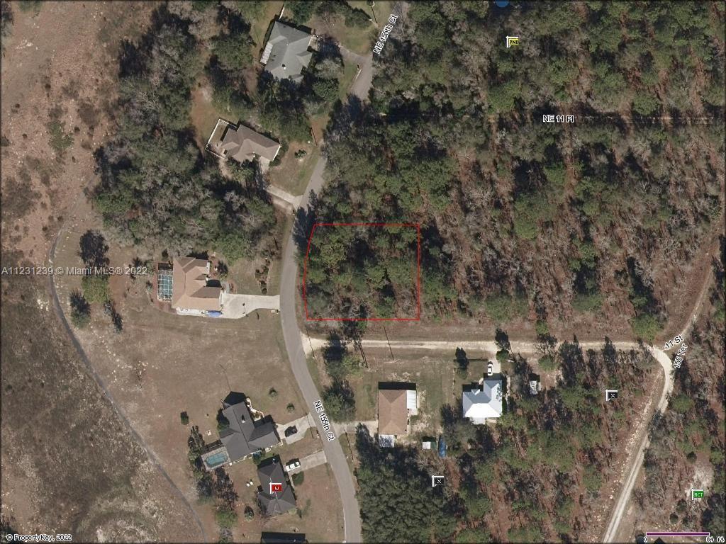 Lot 7 NE 155th Ct, Williston FL 32696 photo 2