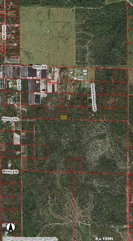 Unk Unk, Naples FL 34117
