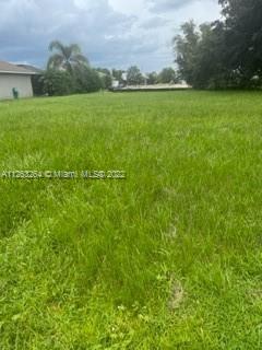 27084 Formosa Drive, Punta Gorda FL 33983 photo 3
