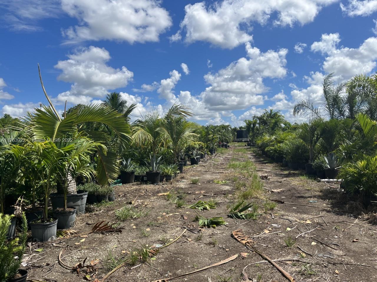 202XX SW 198 ST, Homestead FL 33187 photo 3