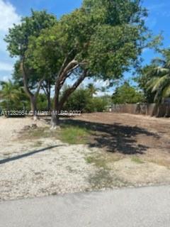 28505 Jolly Roger Drive, OTHER FL Key FL 33042 photo 2