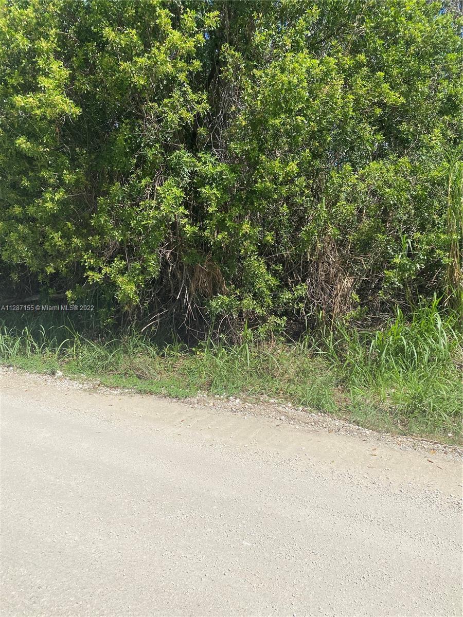 Miami, FL 33187 photo 2