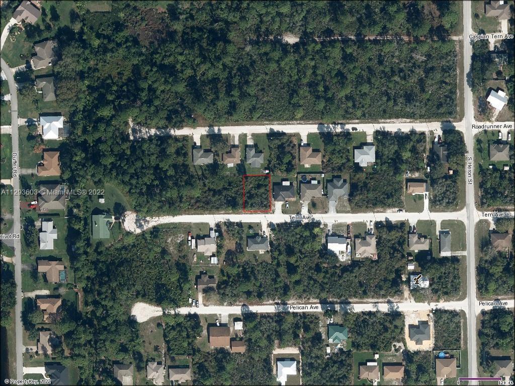 335 Tern Ave, Sebring FL 33870 photo 3