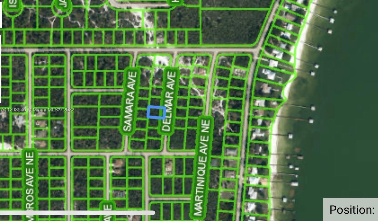 115 DELMAR AVE, Lake Placid FL 33852 photo 5