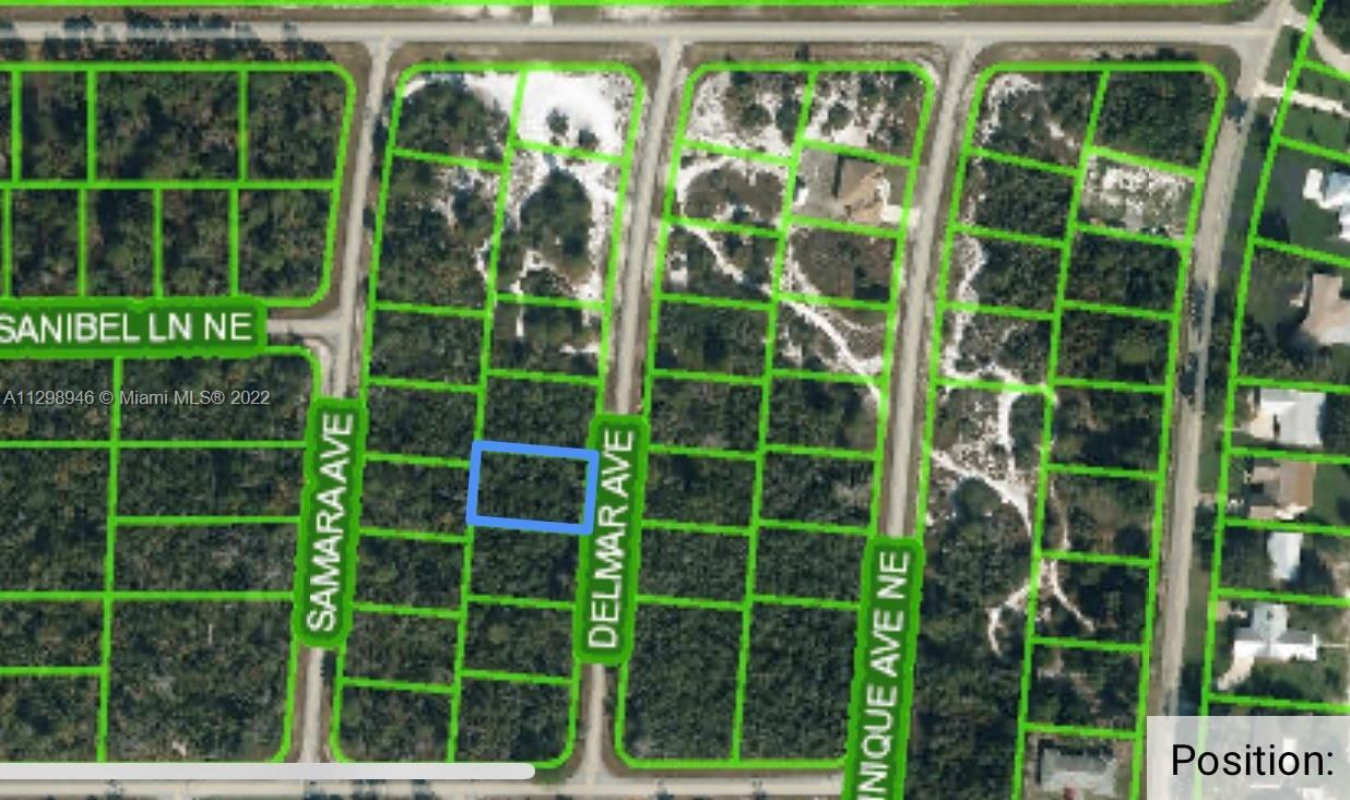 115 DELMAR AVE, Lake Placid FL 33852 photo 4